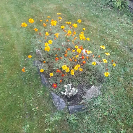 Casa Vacanze Gianluca *